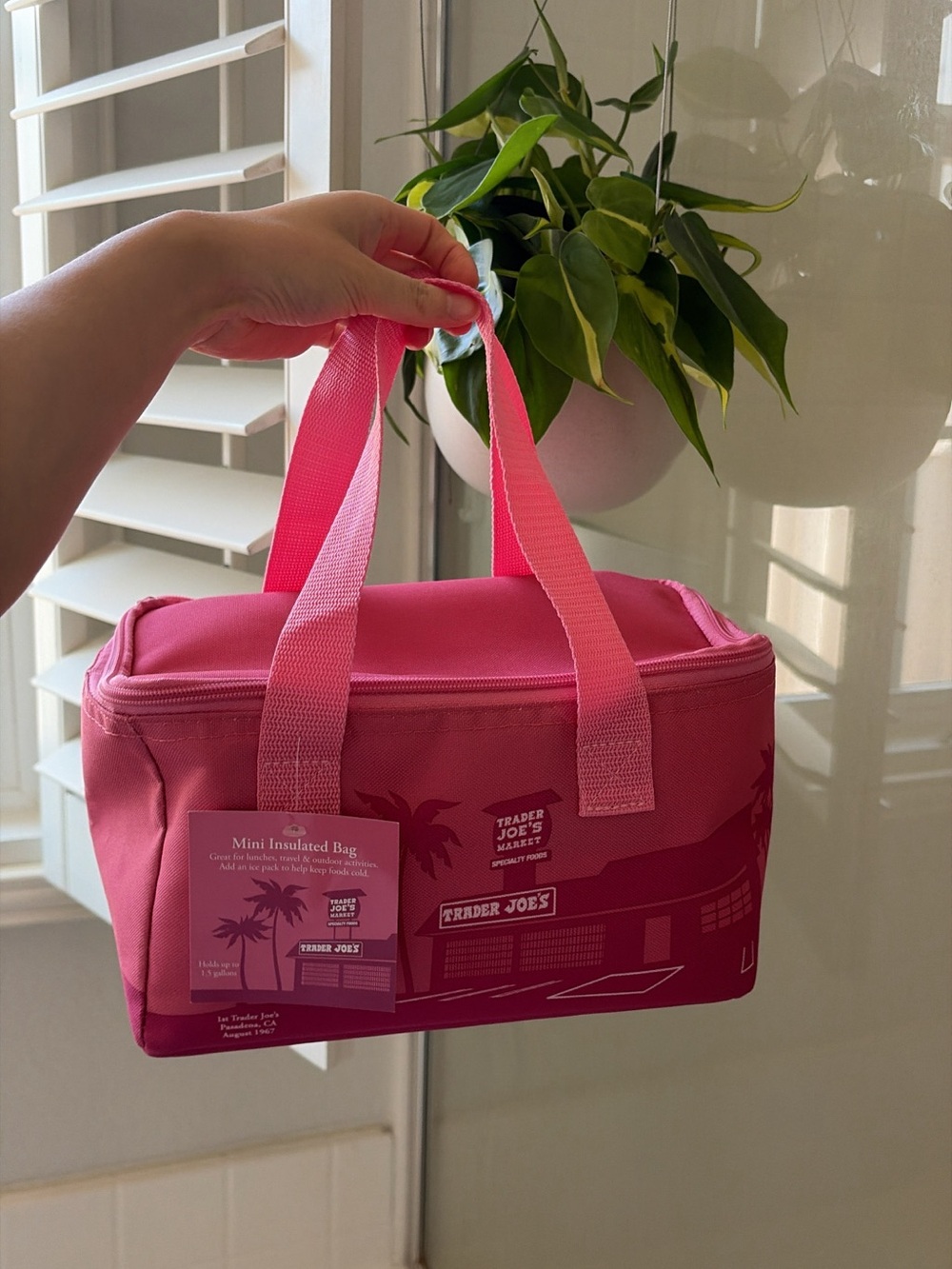 Trader Joe’s Mini Insulated Bag – Pink